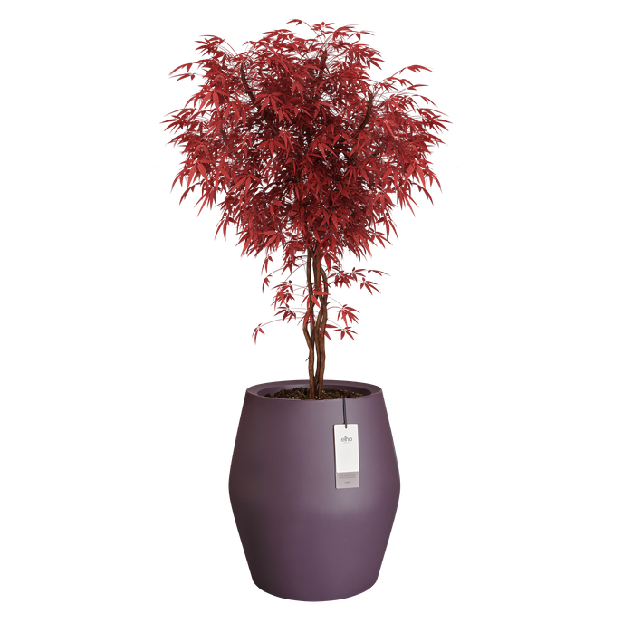 june split high 46cm vintage plum